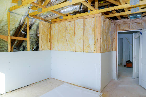Best Insulation Maintenance and Repair in Monticello, IL