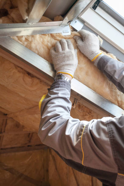 Best Insulation Installation Services in Monticello, IL