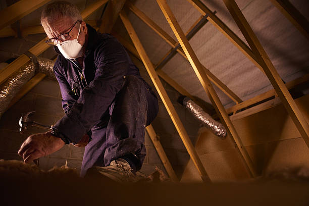 Best Commercial Insulation in Monticello, IL